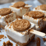 Lotus Biscoff Ice Cream Bars: A Delightful Treat