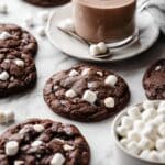 Hot Chocolate Cookies with Marshmallow Bits Recipe