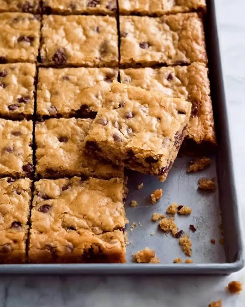 Dark Chocolate Coconut Blondies Recipe