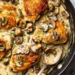 Creamy Mushroom Chicken Recipe