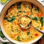 Thai Red Curry Potsticker Soup Recipe