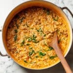 Ground Beef Orzo with Tomato Cream Sauce Recipe