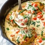 Creamy Tomato Basil Chicken Recipe