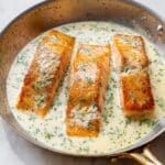 Creamy Dill Salmon Recipe