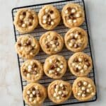 Chocolate Chip Walnut Cookies Recipe